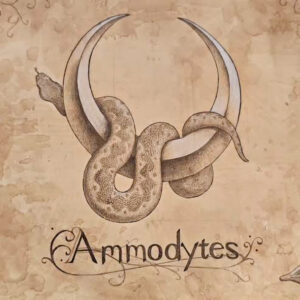 AMMODYTES